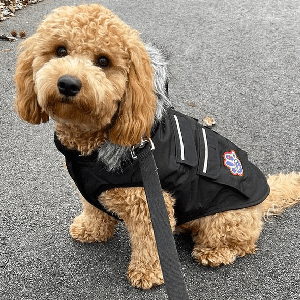 FluffyBernies.com